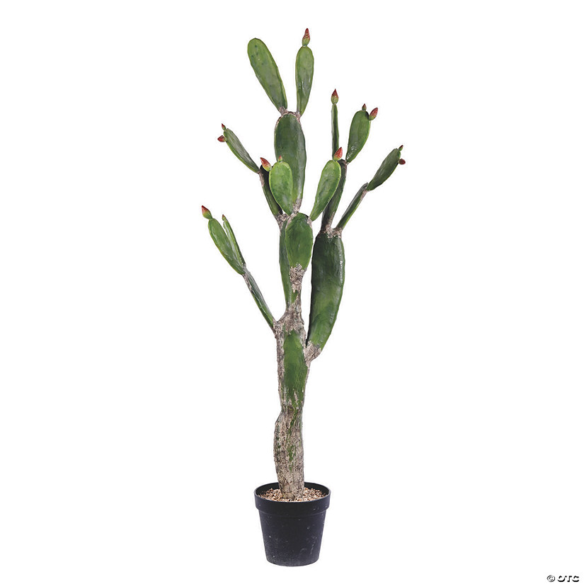 Vickerman 57" Green Cactus in Black Plastic Planters Pot Image