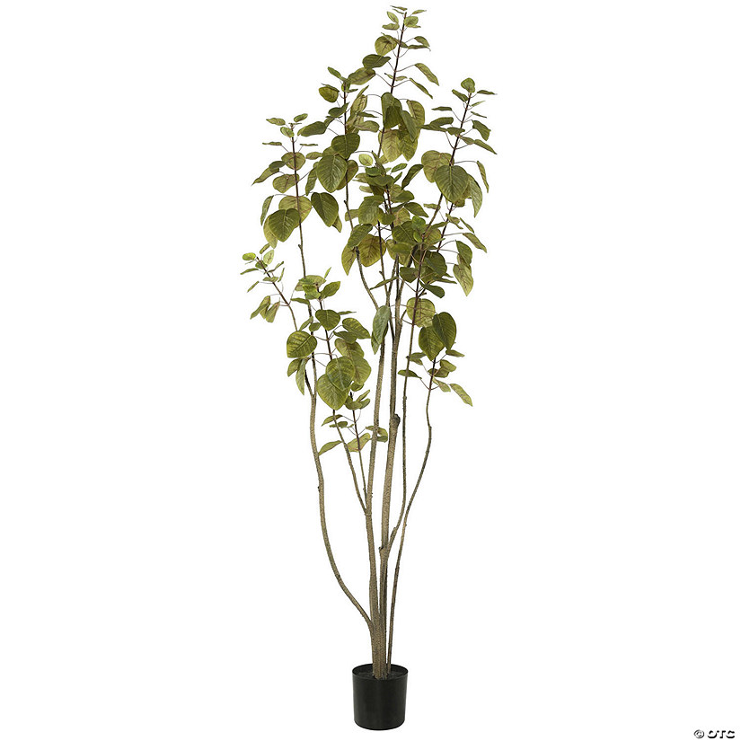 Vickerman 6' Artificial Green Potted Cotinus Coggygria Tree Image