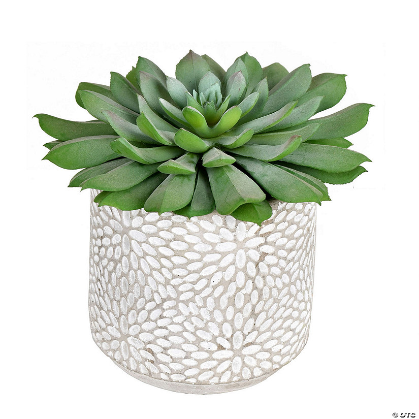 Vickerman 6" Artificial Green Potted Succulent, Pack of 2 Image