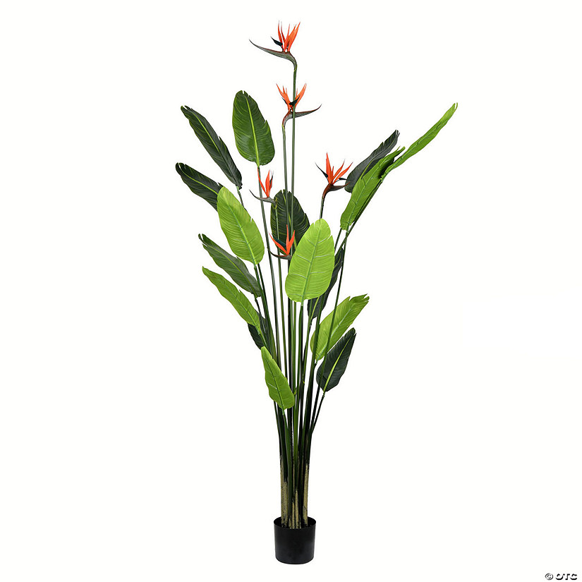 Vickerman 6' Artificial Potted Bird of Paradise Palm Tree Image