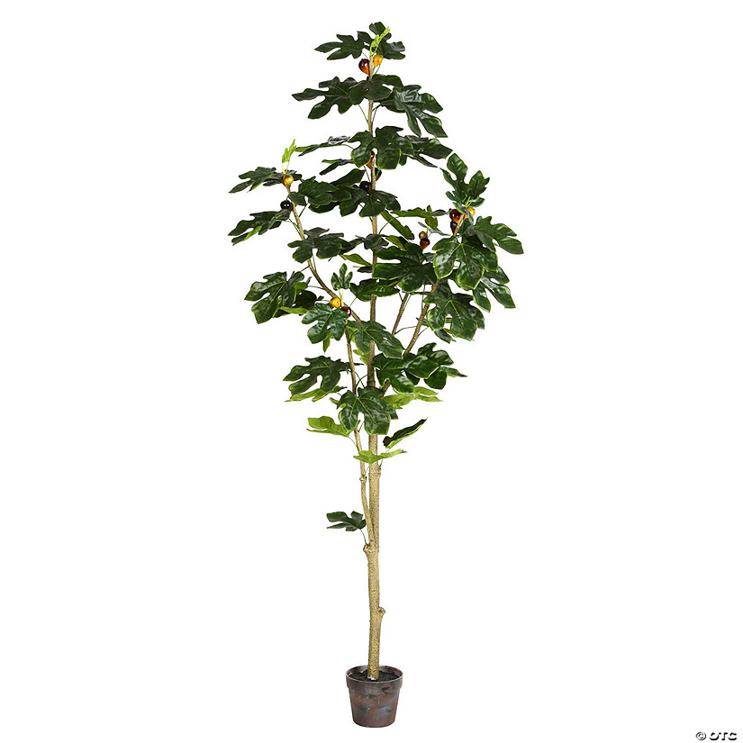 Vickerman 6' Artificial Potted Fig Tree Image
