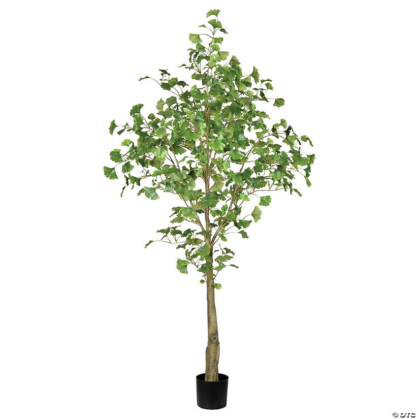 Vickerman 6' Artificial Potted Ginkgo Tree Image