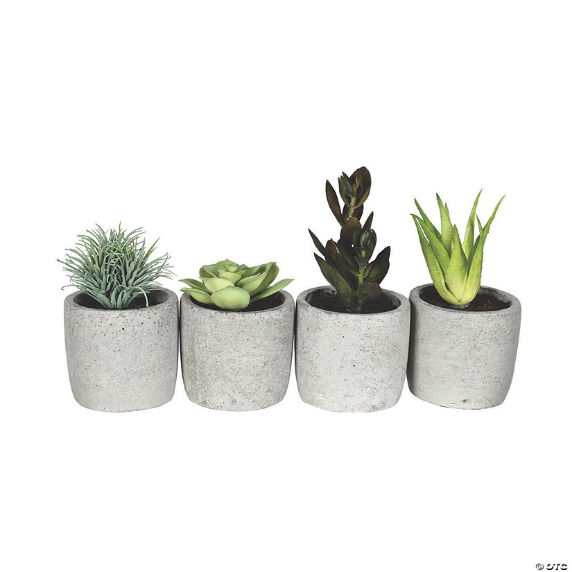 Vickerman 6" Assorted Potted Succulents - 4/pk Image