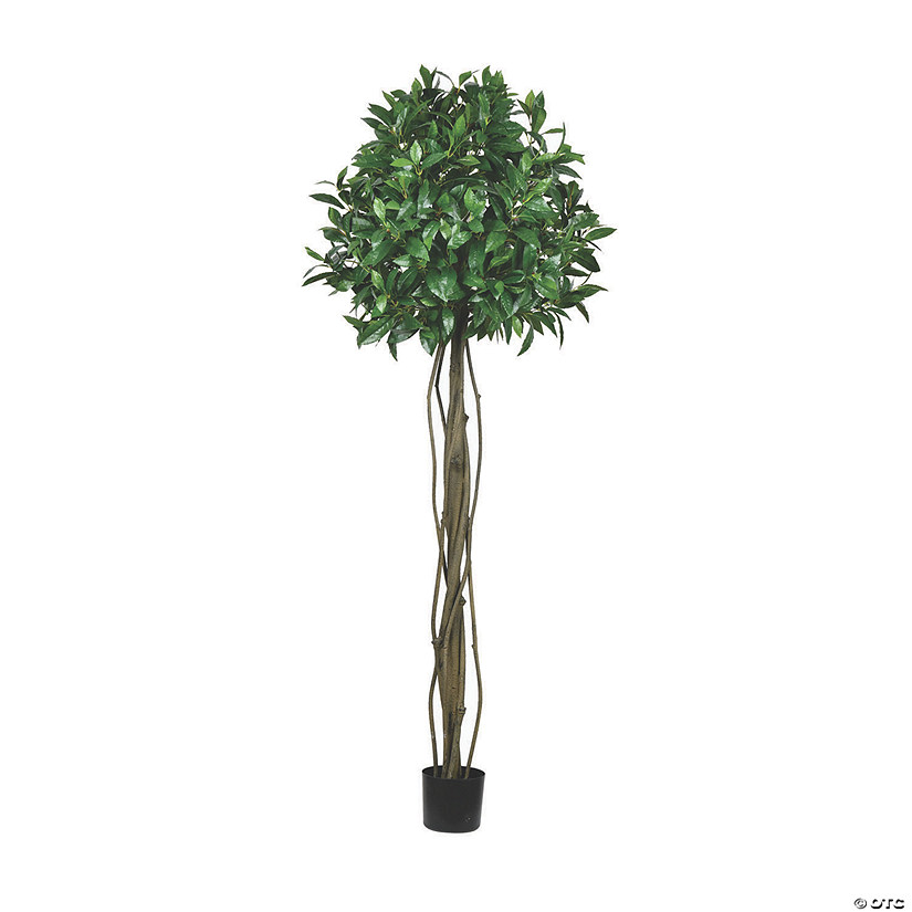 Vickerman 6' Potted Bay Leaf Tree Oriental Trading