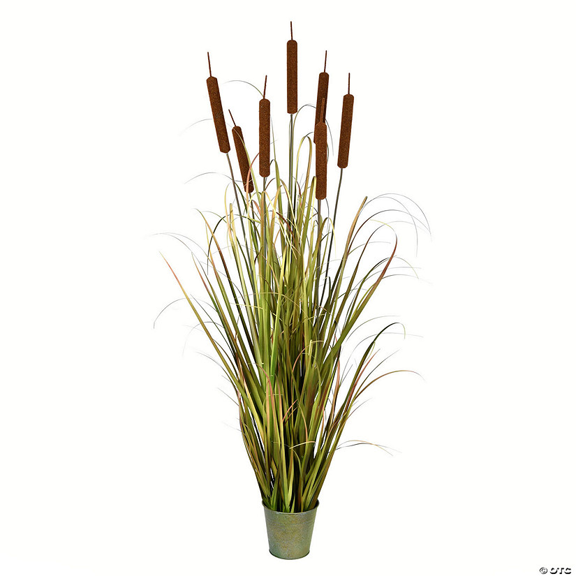 Vickerman 60" Artificial Potted Green Grass with Cattails Image
