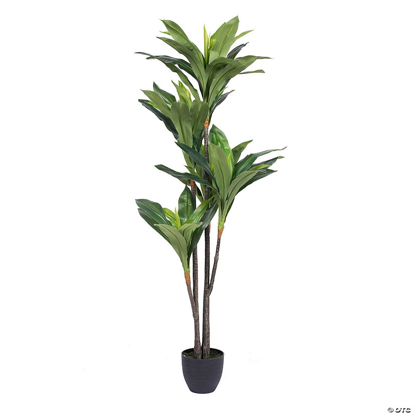 Vickerman 60" Artificial Real Touch Dracaena Image