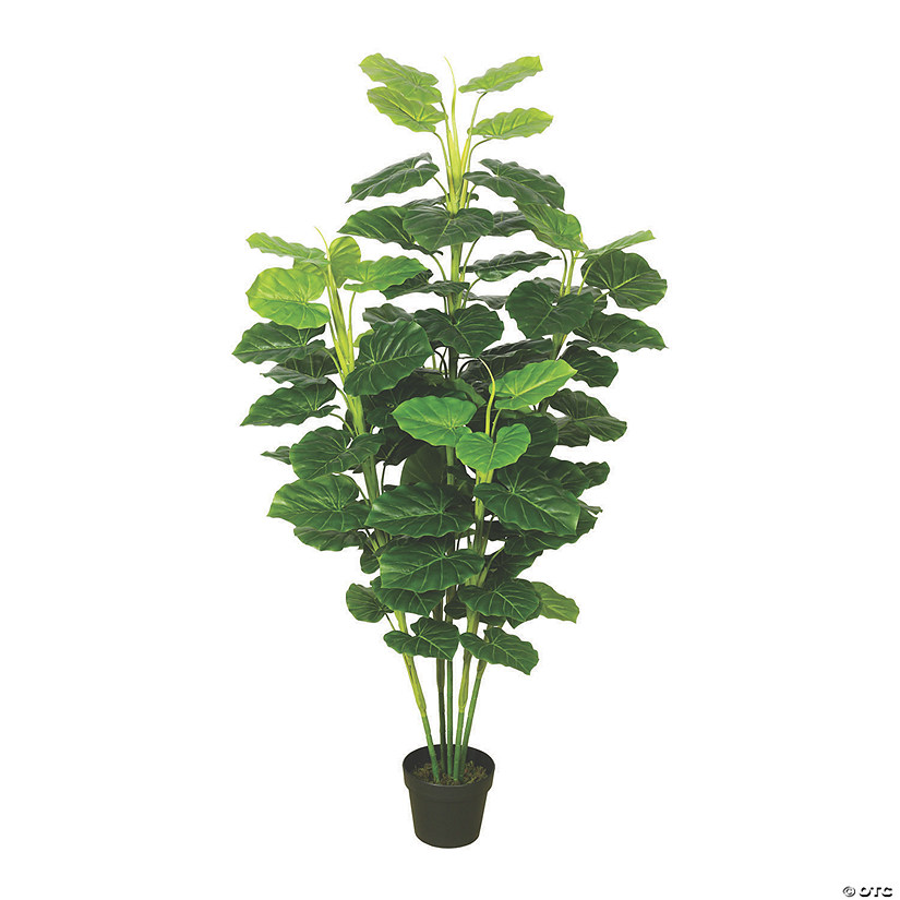 Vickerman 64" Artificial Fresh Potted Green Philodendron Image