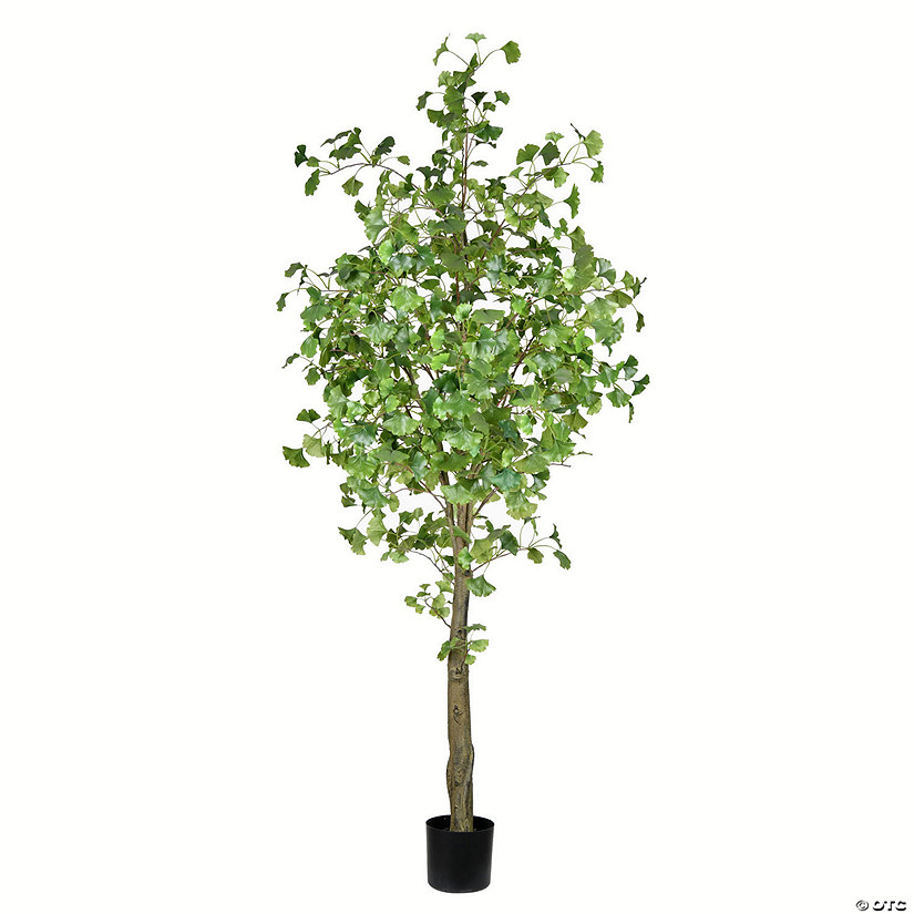 Vickerman 7' Artificial Potted Ginkgo Tree Image