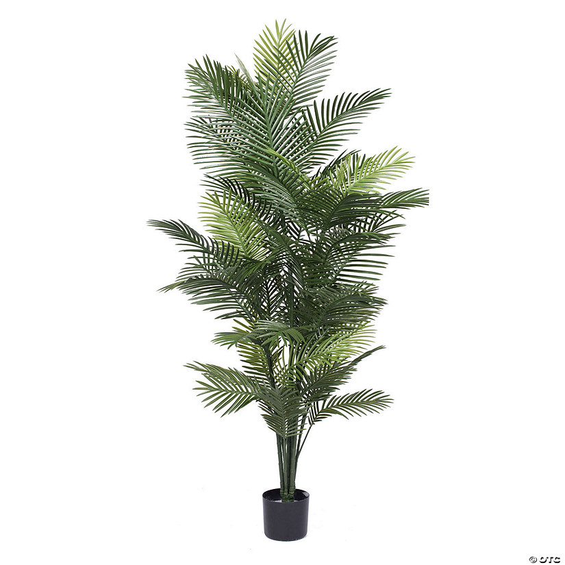 Vickerman 72" Artificial Robellini Palm Tree Image