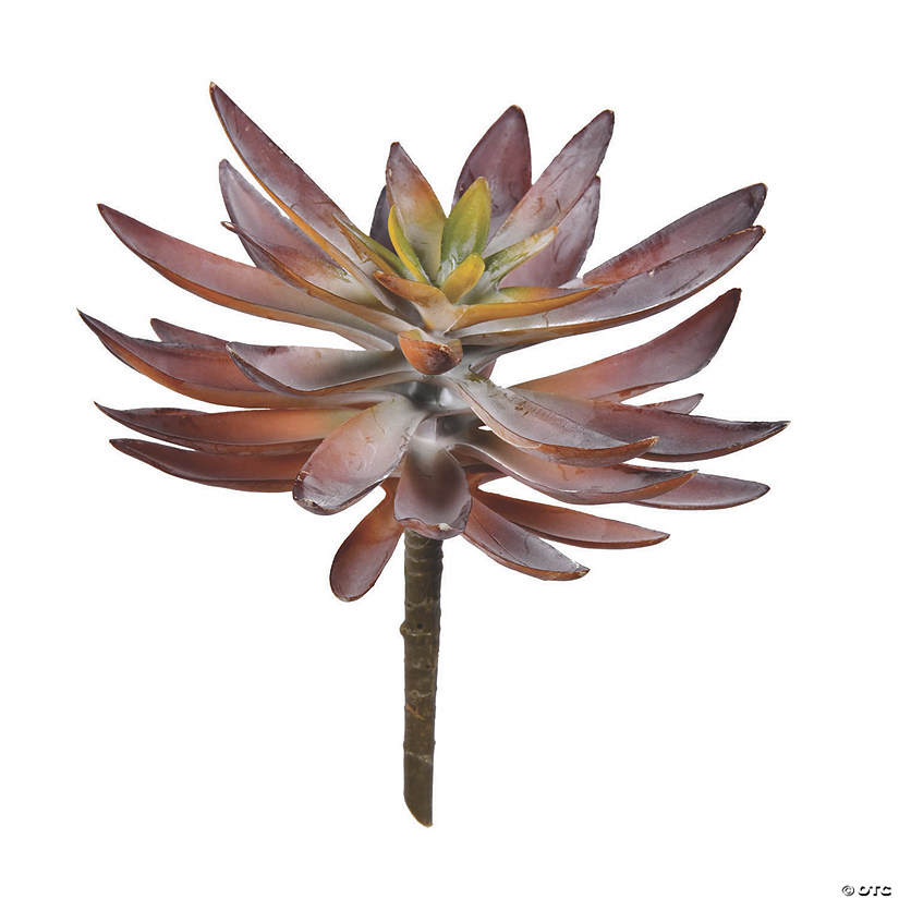 Vickerman 8.5" Succulent Pick - 3/pk Image