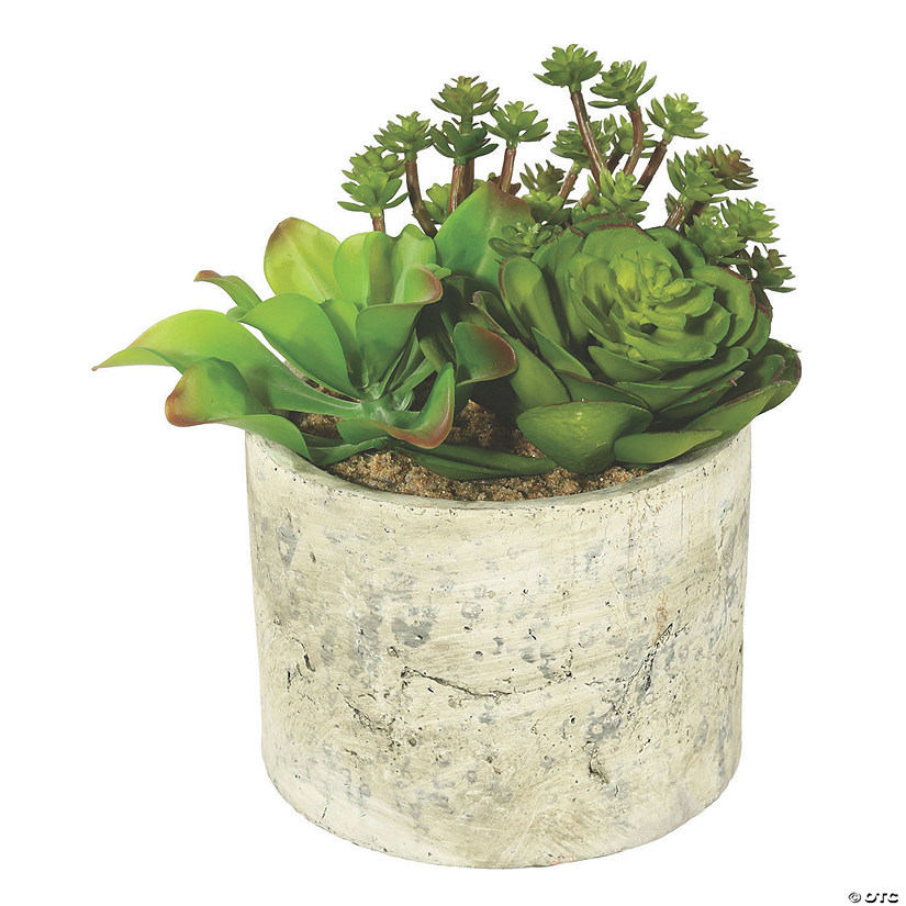 Vickerman 8" Artificial Succulent Arrangement Image