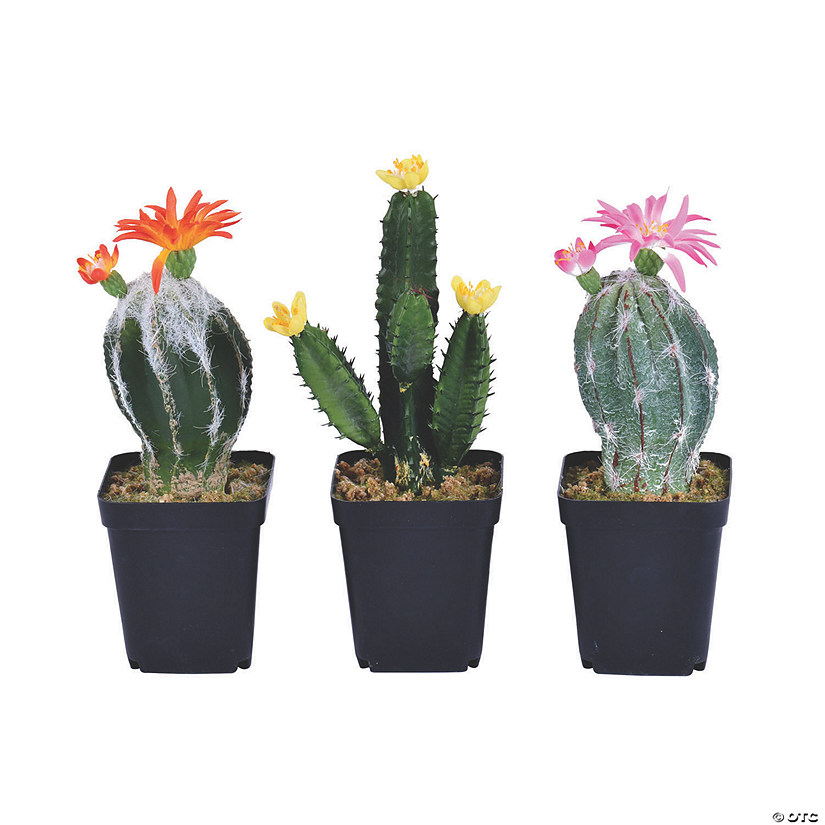 Vickerman 8" Cactus in Black Plastic Planters Pots - Assorted Styles, Set of 3 Image