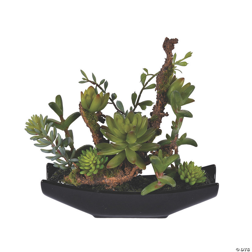 Vickerman 8" Green Mixed Succulent in Ceramic Pot Image