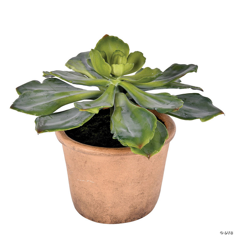 Vickerman 9" Succulent in Paper Pot Image