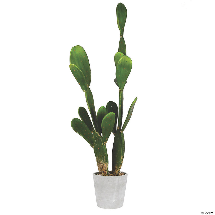 Vickerman Artificial 29" Green Cactus Plant Oriental Trading