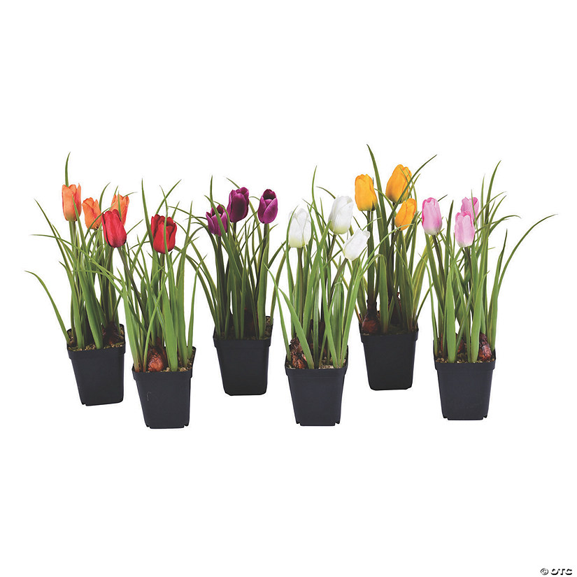 Vickerman Assorted 10" Potted Tulips in 3"x3" Black Nursery Pot - 6 Pc. Image