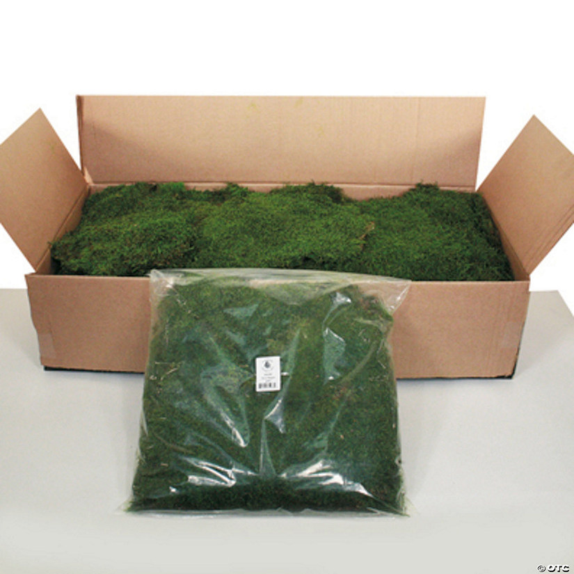 Vickerman Bag of Green Sheet Moss, Preserved Image