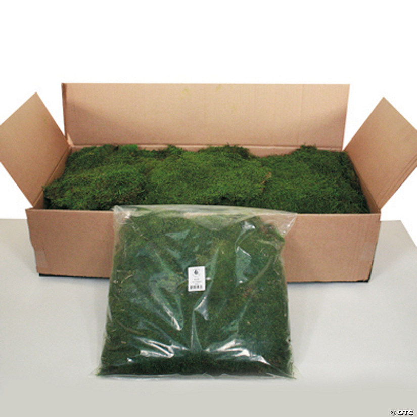 Vickerman Box Green Moss, Sheet - 6.6 Lbs Bulk Case, Preserved Image