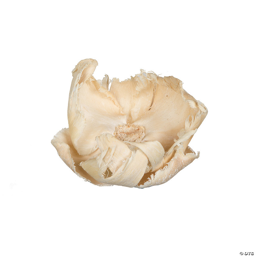 Vickerman Natural Botanicals 2.75" Palm Cap, Bleached. Includes 25 pieces per Pack. Image