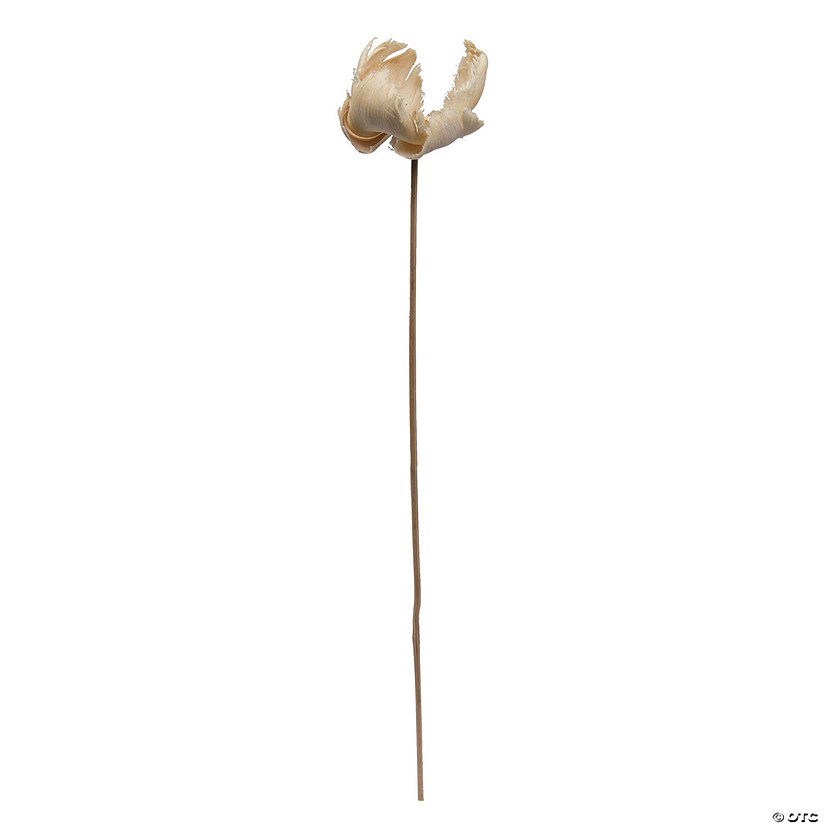 Vickerman Natural Botanicals 2.75" Palm Cap, Bleached and White Wash on Stem. Includes 25 pieces per Pack. Image