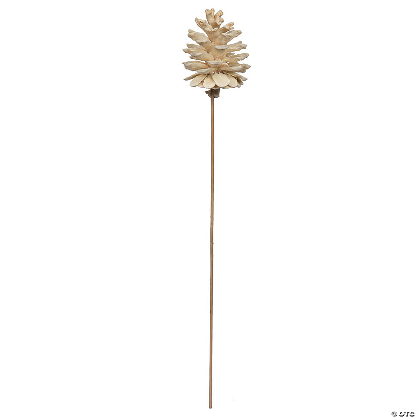 Vickerman Natural Botanicals 2" Blue Pine, Bleached on Stem. Includes 25 pieces per unit. Image