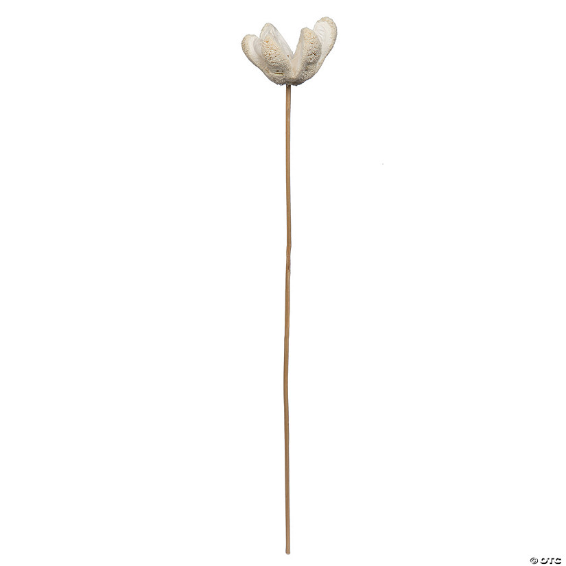 Vickerman Natural Botanicals 20" Bullet Flower, Bleached on Stem. Includes 50 Stems per pack. Image