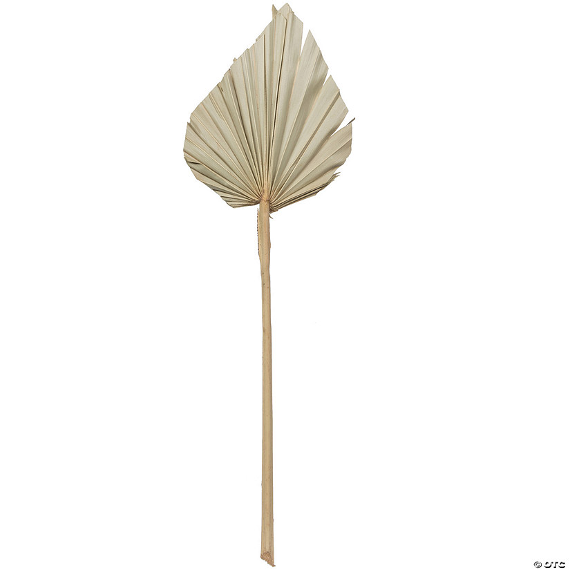 Vickerman Natural Botanicals 20" Palm Spear, Natural. Includes 50 pieces per Pack. Image