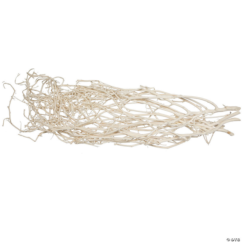 Vickerman Natural Botanicals 32" Begun Tree, Bleached. Includes 5 pieces per Pack. Image