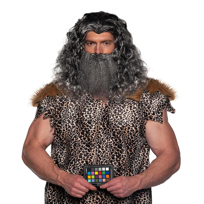 Viking Wig & Beard Adult Costume Set  Grey Image