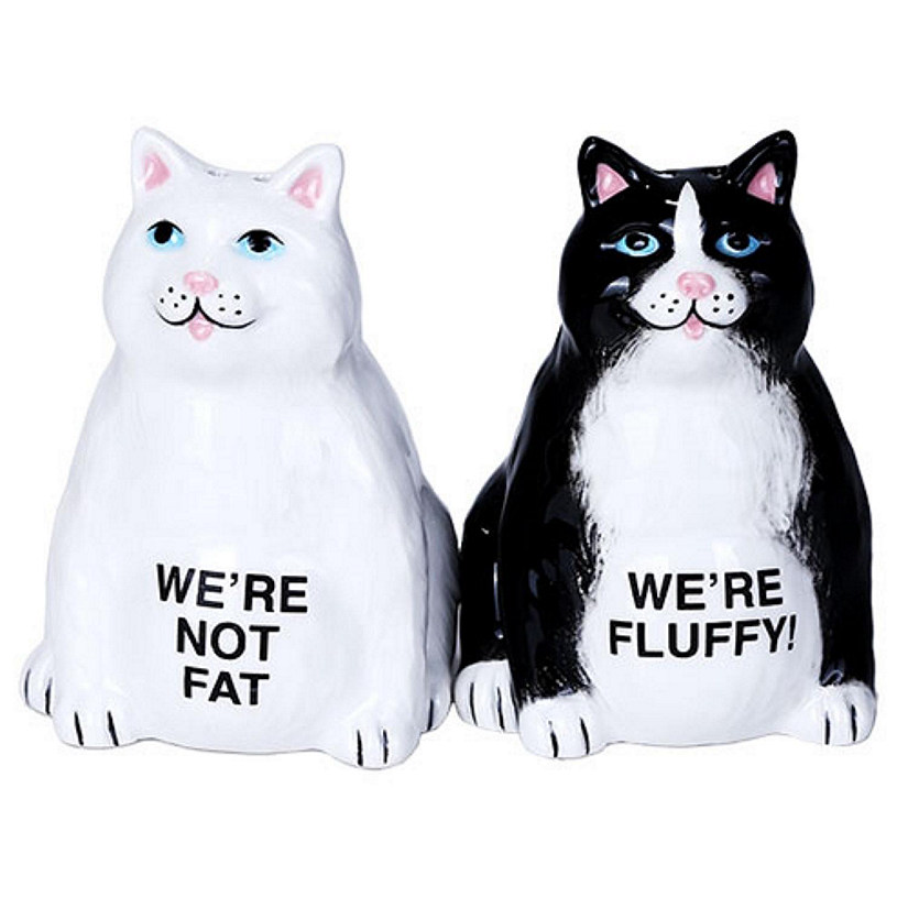 We're Not Fat We're Fluffy Cats Magnetic Ceramic Salt and Pepper Shaker Set Image