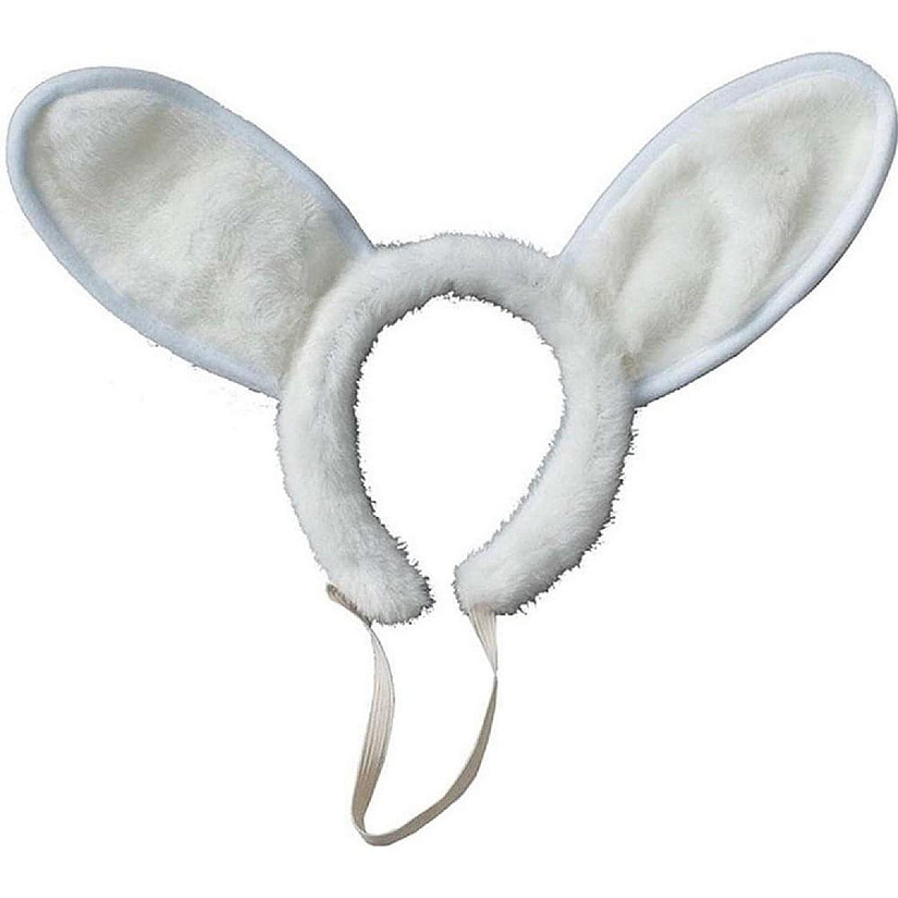 White Bunny Ears Image