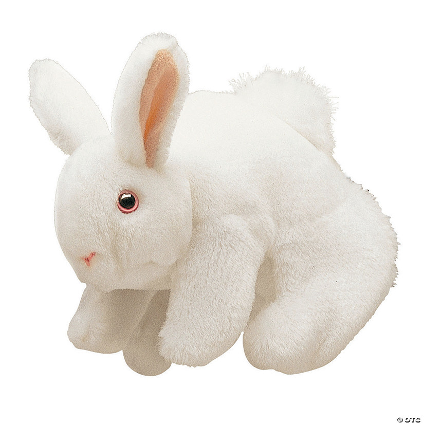 White Bunny Rabbit Image