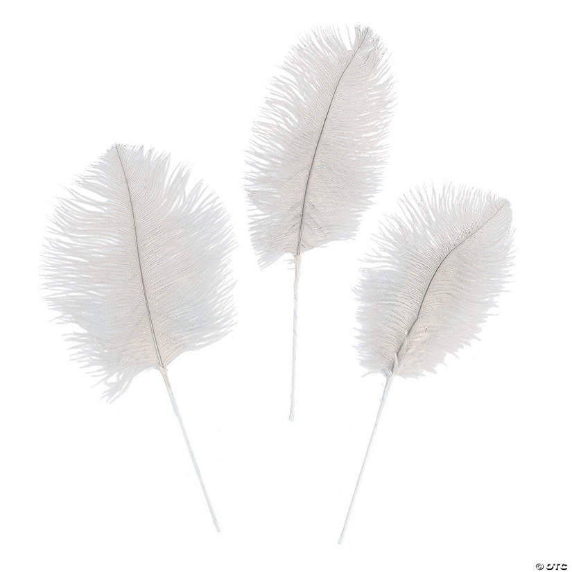 White Ostrich Feathers - 24 Pc. Image