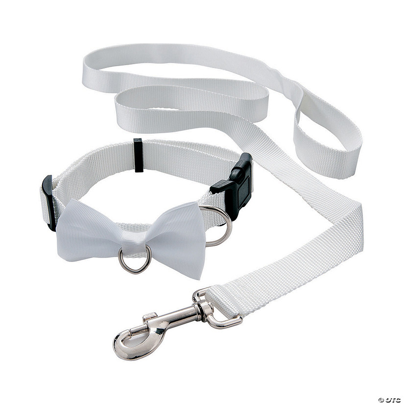 White Ring Bearer Dog Collar and Leash Image