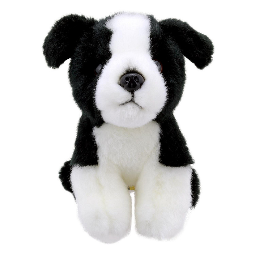 Wilberry Minis: Border Collie Image