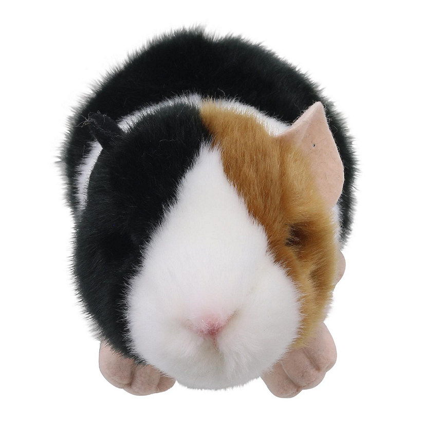 Wilberry Minis: Guinea Pig Image