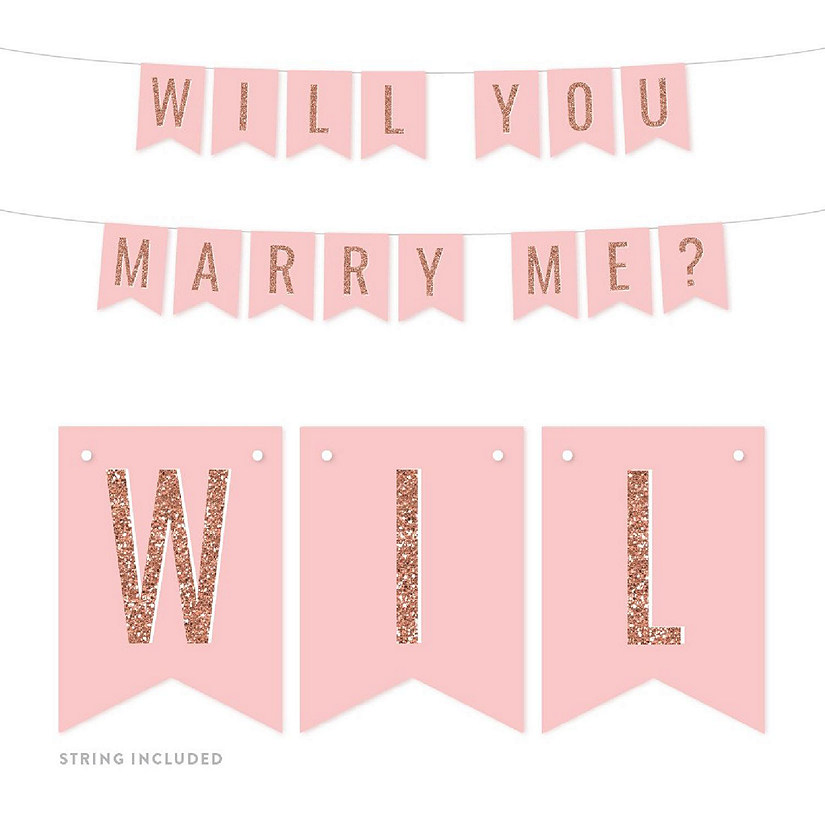 Will You Marry Me 4x5.5IN Banner Image
