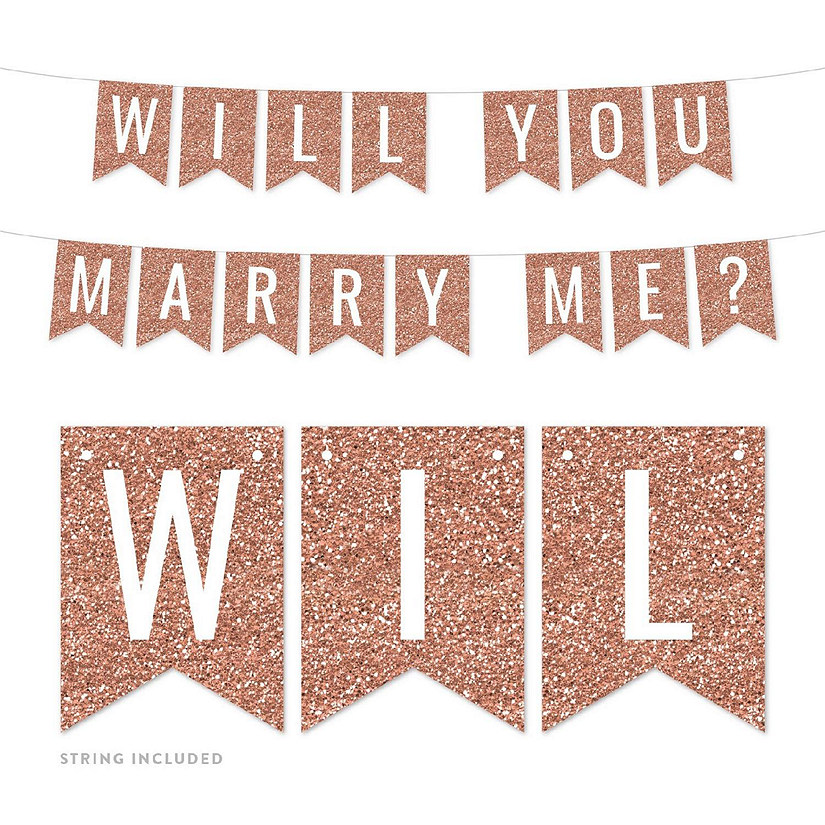 Will You Marry Me 4x5.5IN Banner Image
