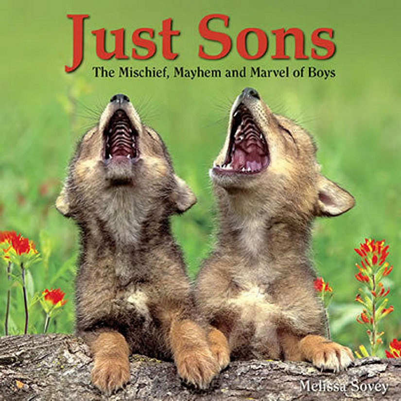 Willow Creek Press Book Just Sons Image