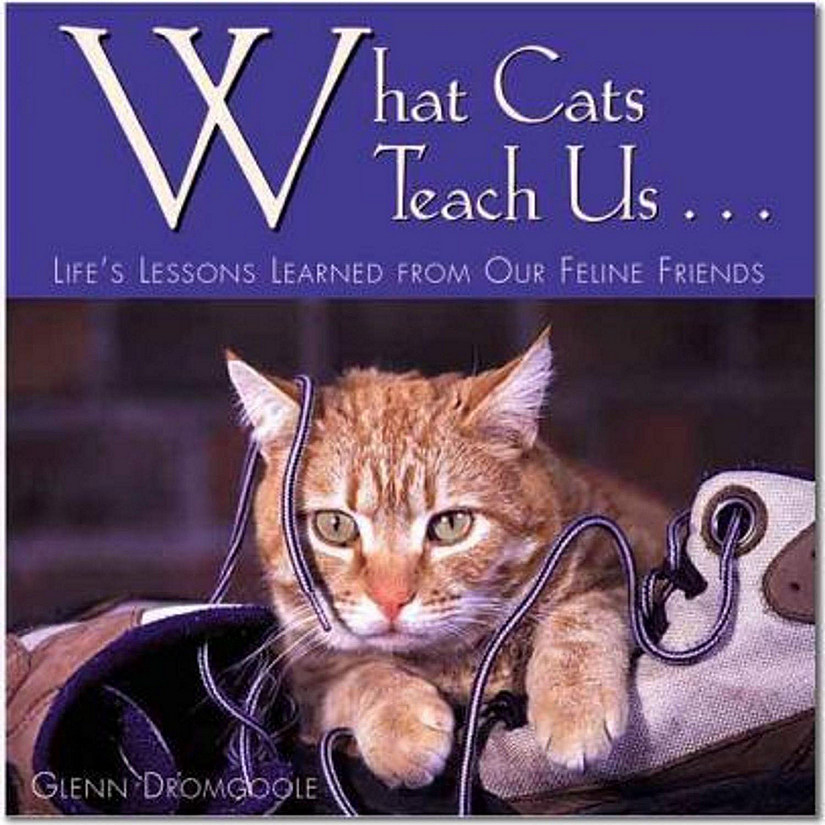 Willow Creek Press Book What Cats Teach Us® Oriental Trading