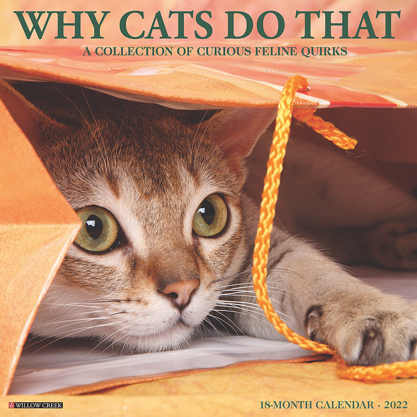 Willow Creek Press Why Cats Do That 2022 Wall Cal | Oriental Trading