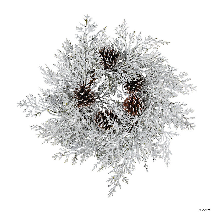 Winter Wonderland Sparkly Wreath Image