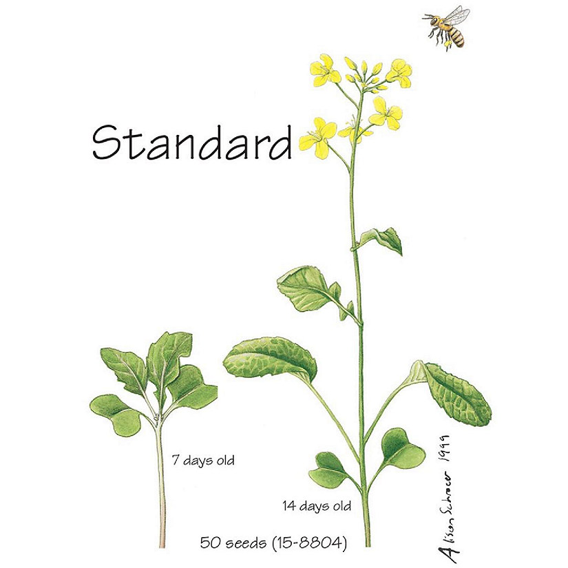 Wisconsin Fast Plants Standard Seed, Pack of 200 Oriental Trading