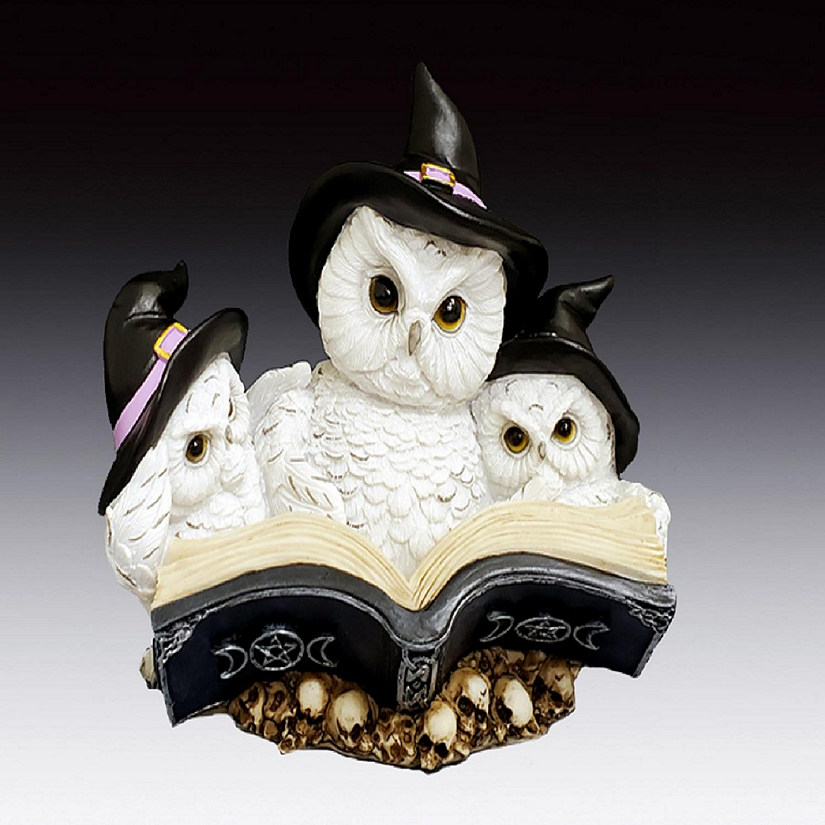 Witch Owls Reading Spell Book Figurine 5.7 Inch Multicolor Image