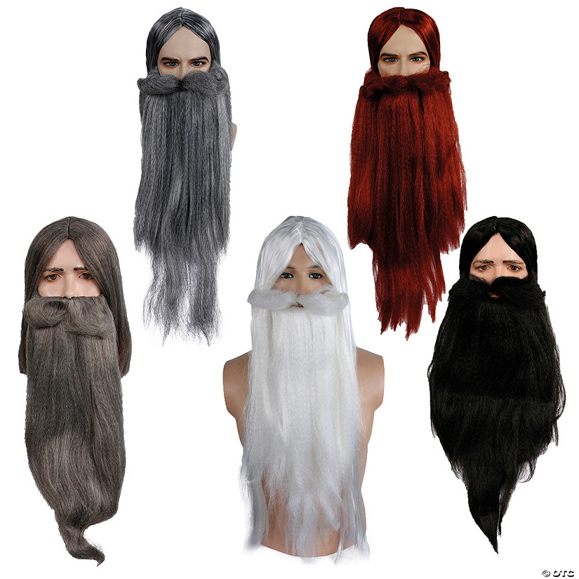 Wizard Long-Haired Wig &amp; Beard Set Image