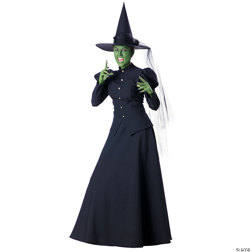 Women's Wicked Witch Deluxe Costume - Large Image