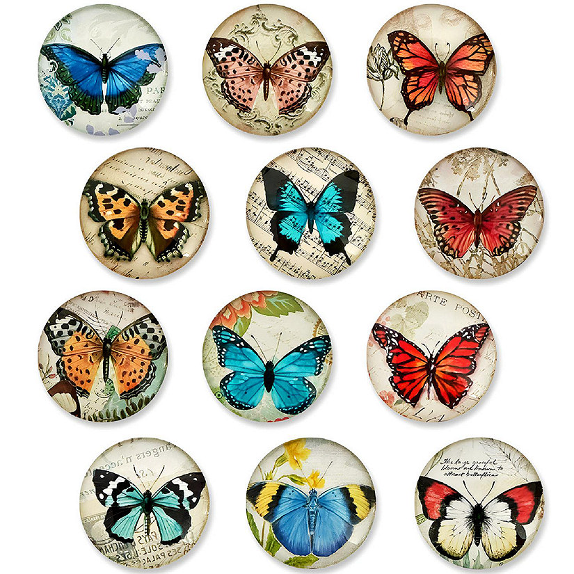 Wrapables Butterflies Crystal Glass Magnets, Refrigerator Magnets (Set of 12) Image