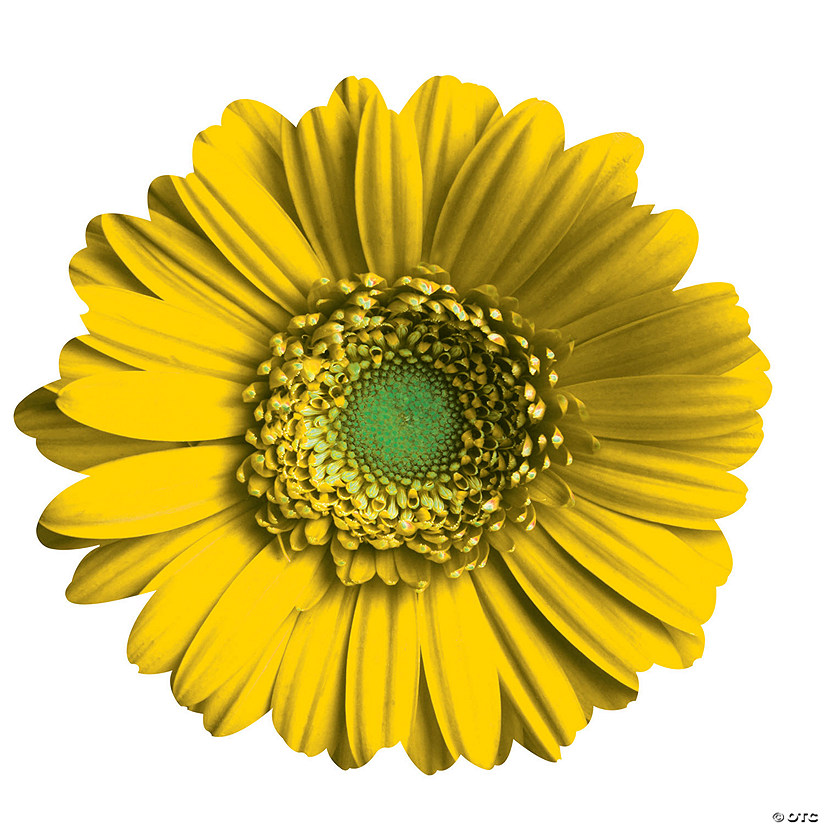 Yellow daisy wall art Oriental Trading