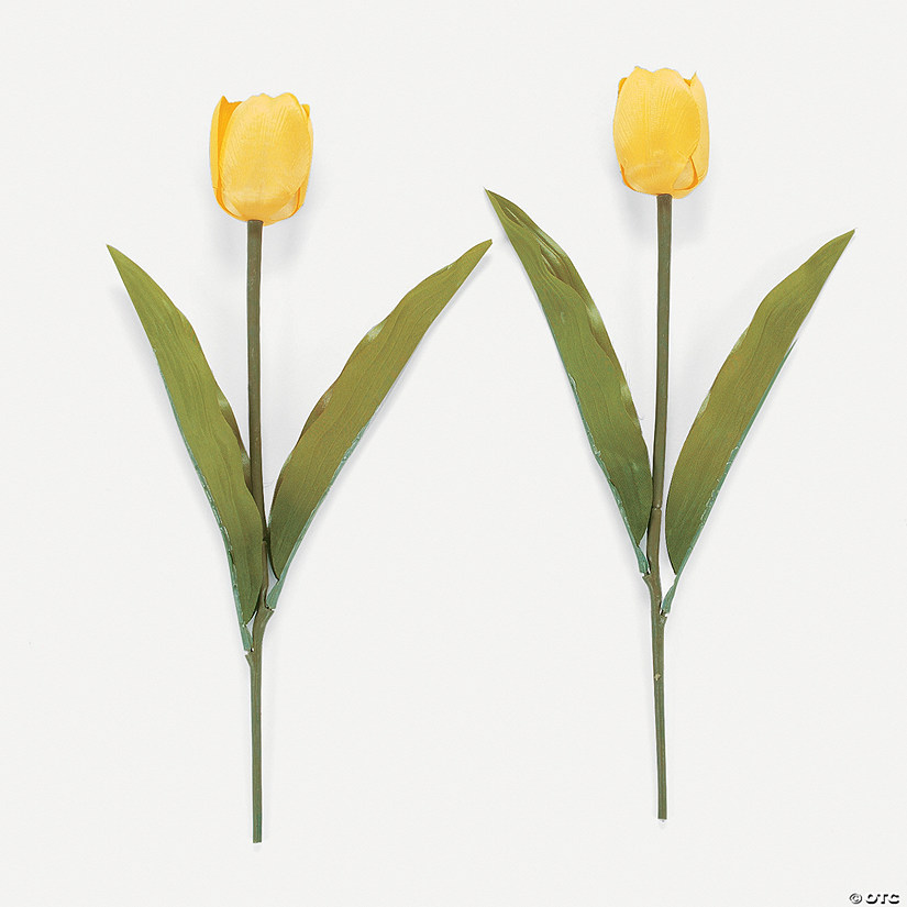 My Image 77