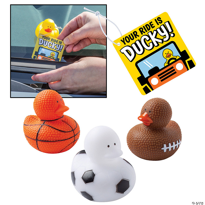 Your Ride is Ducky Sports Ball Kit for 12 Image